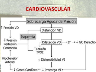 CARDIOVASCULAR
 