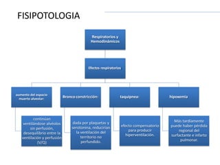 Respiratorios y
Hemodinámicos
Efectos respiratorios
aumento del espacio
muerto alveolar:
continúan
ventilándose alvéolos
sin perfusión,
desequilibrio entre la
ventilación y perfusión
(V/Q)
Bronco constricción:
dada por plaquetas y
serotonina, reducirían
la ventilación del
territorio no
perfundido.
taquipnea:
efecto compensatorio
para producir
hiperventilación.
hipoxemia
Más tardíamente
puede haber pérdida
regional del
surfactante e infarto
pulmonar.
FISIPOTOLOGIA
 