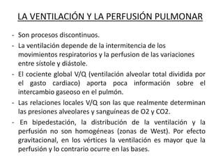 LA VENTILACIÓN Y LA PERFUSIÓN PULMONAR
- Son procesos discontinuos.
- La ventilación depende de la intermitencia de los
movimientos respiratorios y la perfusion de las variaciones
entre sístole y diástole.
- El cociente global V/Q (ventilación alveolar total dividida por
el gasto cardiaco) aporta poca información sobre el
intercambio gaseoso en el pulmón.
- Las relaciones locales V/Q son las que realmente determinan
las presiones alveolares y sanguíneas de O2 y CO2.
- En bipedestación, la distribución de la ventilación y la
perfusión no son homogéneas (zonas de West). Por efecto
gravitacional, en los vértices la ventilación es mayor que la
perfusión y lo contrario ocurre en las bases.
 