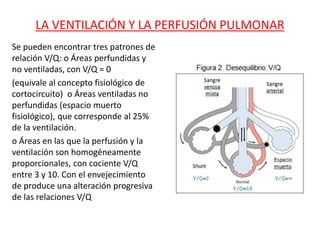 LA VENTILACIÓN Y LA PERFUSIÓN PULMONAR
Se pueden encontrar tres patrones de
relación V/Q: o Áreas perfundidas y
no ventiladas, con V/Q = 0
(equivale al concepto fisiológico de
cortocircuito) o Áreas ventiladas no
perfundidas (espacio muerto
fisiológico), que corresponde al 25%
de la ventilación.
o Áreas en las que la perfusión y la
ventilación son homogéneamente
proporcionales, con cociente V/Q
entre 3 y 10. Con el envejecimiento
de produce una alteración progresiva
de las relaciones V/Q
 