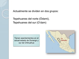 Actualmente se dividen en dos grupos:
Tepehuanes del norte (Ódami),
Tepehuanes del sur (O’dam)
Tienen asentamientos en el
...