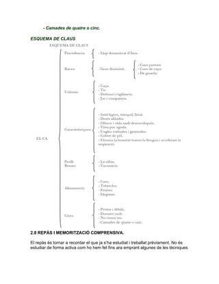 - Camades de quatre o cinc.
ESQUEMA DE CLAUS
2.8 REPÀS I MEMORITZACIÓ COMPRENSIVA.
El repàs és tornar a recordar el que ja s’ha estudiat i treballat prèviament. No és
estudiar de forma activa com ho hem fet fins ara emprant algunes de les tècniques
 