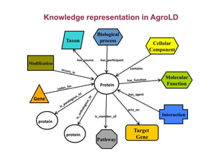 Biological
process
Cellular
Component
Molecular
Function
Interaction
Gene	
 
Taxon
Protein	
 
protein	
 
Modification
Pathway
has_par7cipant	
 
contains	
 
has_func7on	
 
has_agent	
 
acts_on	
 
is_member_of	
 
codes_for	
 
occurs_in	
 
has_source	
 
protein	
 
Target
Gene
Knowledge representation in AgroLD
 