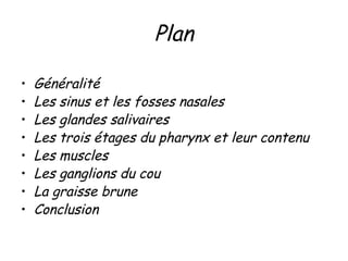 Tep Tdm Du Cou