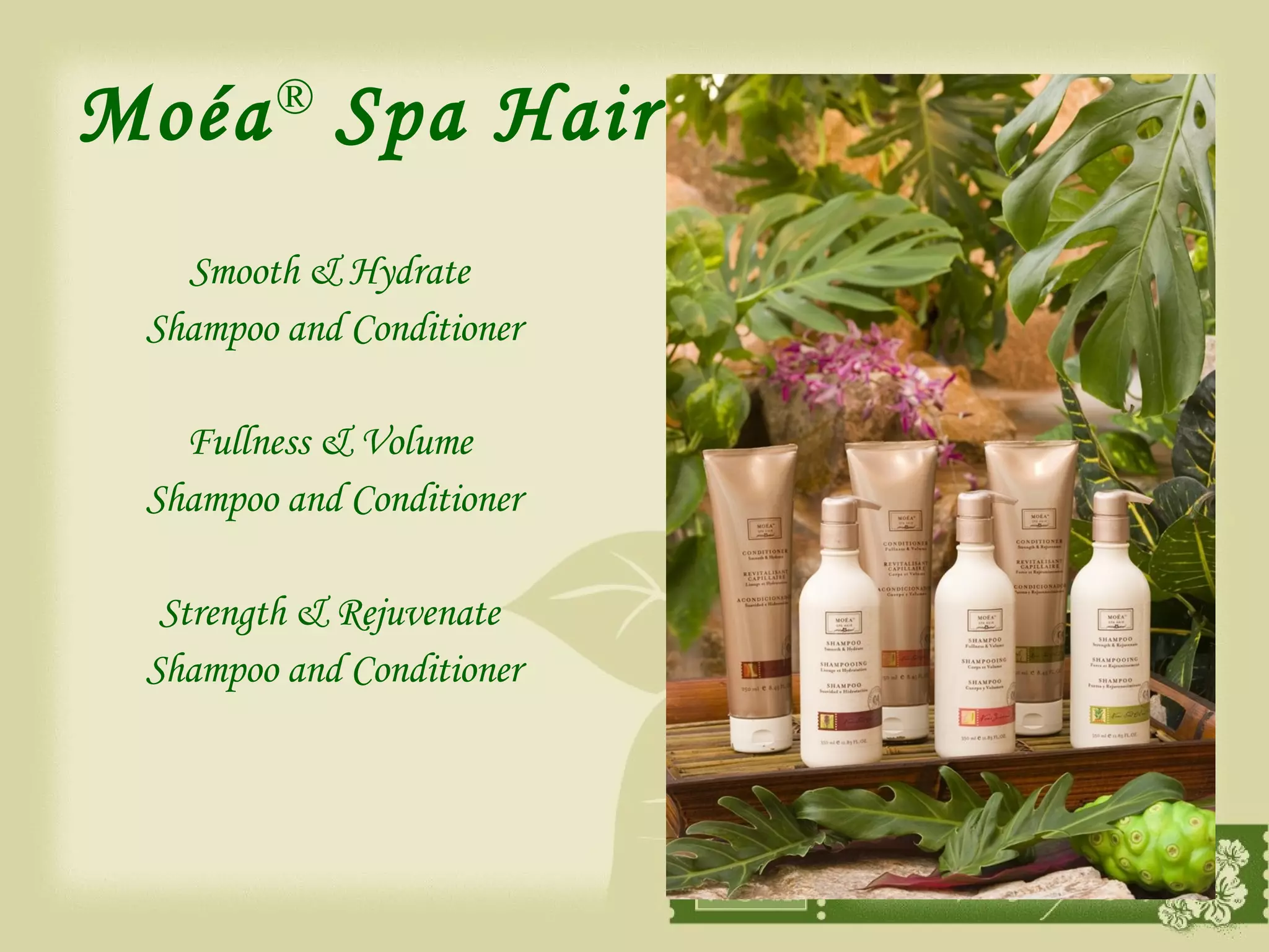 Moéa ®  Spa Hair Smooth & Hydrate  Shampoo and Conditioner Fullness & Volume  Shampoo and Conditioner Strength & Rejuvenate  Shampoo and Conditioner 