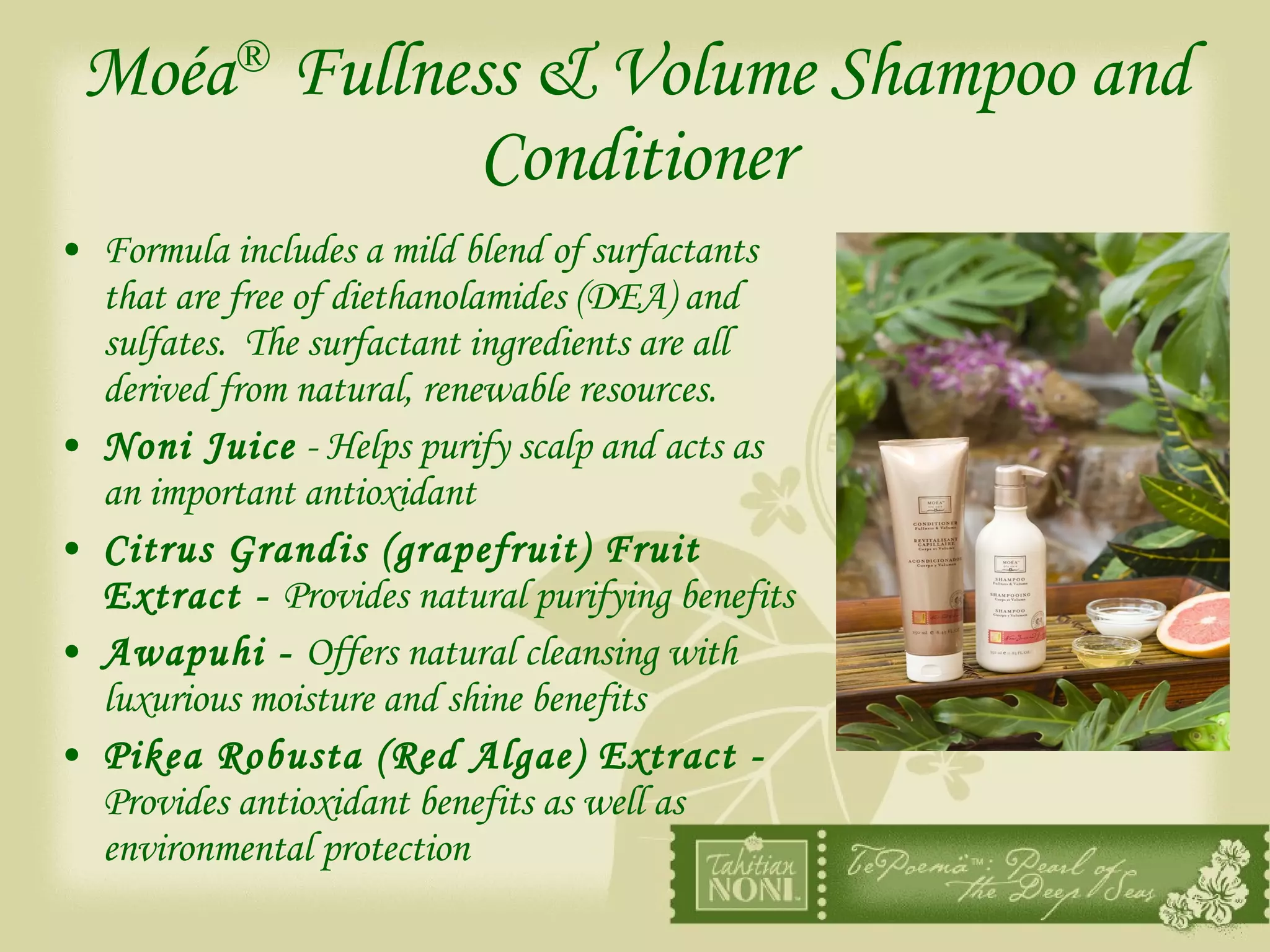 Moéa ®   Fullness & Volume Shampoo and Conditioner Formula includes a mild blend of surfactants that are free of diethanolamides (DEA) and sulfates.  The surfactant ingredients are all derived from natural, renewable resources. Noni Juice  - Helps purify scalp and acts as an important antioxidant Citrus Grandis (grapefruit) Fruit Extract -  Provides natural purifying benefits Awapuhi -  Offers natural cleansing with luxurious moisture and shine benefits Pikea Robusta (Red Algae) Extract -  Provides antioxidant benefits as well as environmental protection 