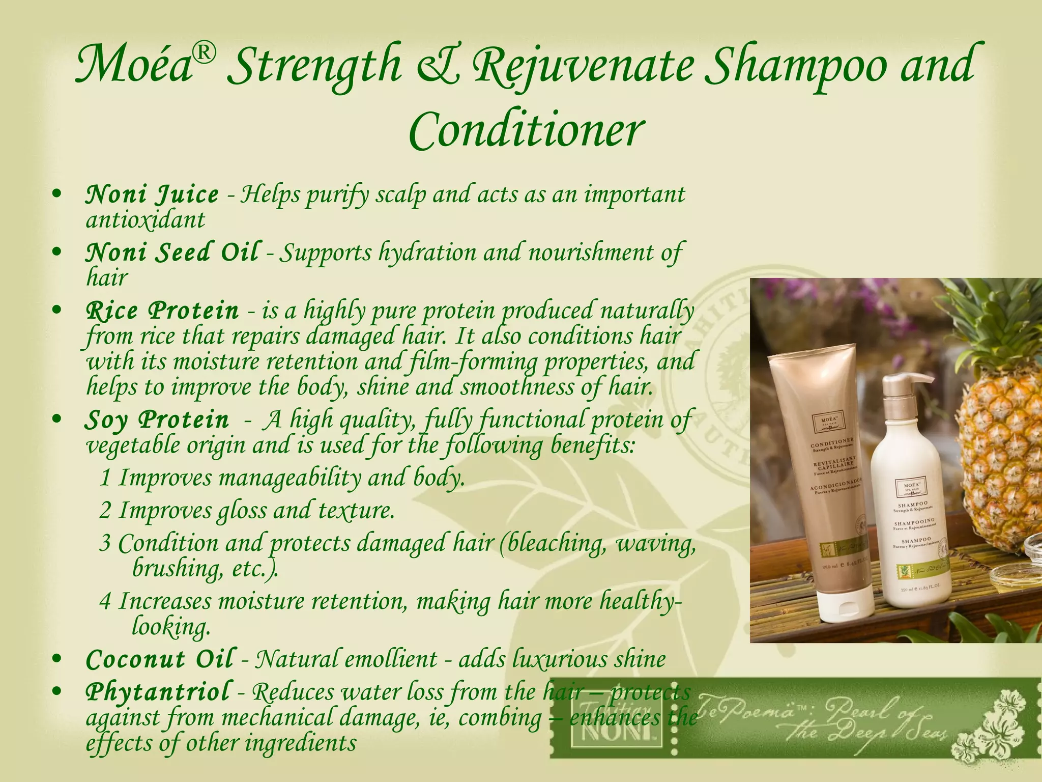 M oéa ®  Strength & Rejuvenate Shampoo and Conditioner Noni Juice  - Helps purify scalp and acts as an important antioxidant Noni Seed Oil  - Supports hydration and nourishment of hair Rice Protein  - is a highly pure protein produced naturally from rice that repairs damaged hair. It also conditions hair with its moisture retention and film-forming properties, and helps to improve the body, shine and smoothness of hair. Soy Protein   -  A high quality, fully functional protein of vegetable origin and is used for the following benefits: 1 Improves manageability and body. 2 Improves gloss and texture. 3 Condition and protects damaged hair (bleaching, waving, brushing, etc.). 4 Increases moisture retention, making hair more healthy-looking. Coconut Oil  - Natural emollient - adds luxurious shine Phytantriol  - Reduces water loss from the hair – protects against from mechanical damage, ie, combing – enhances the effects of other ingredients 