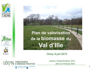 Plan de valorisation
de la biomasse du
Val d’Ille
Cluny, 6 juin 2013
Auteurs: Soazig Rouillard, CCVI
Jean-Luc François, AILE
1
 