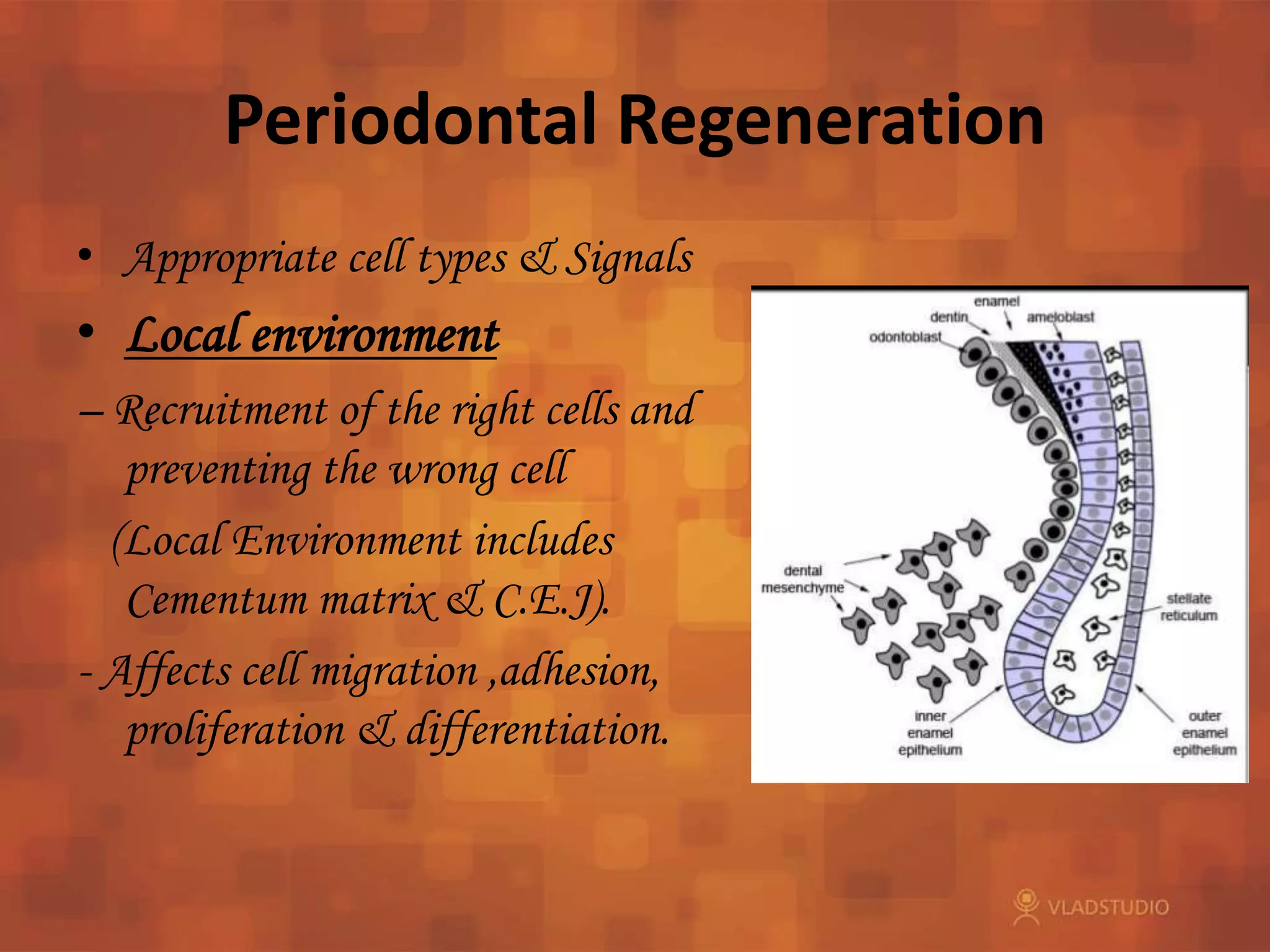 Tissue engineering and periodontal regeneration | PPTX