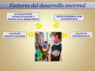 Factores del desarrollo anormal
     ALTERACIONES
    ESTRUCTURALES Y      DAÑO CEREBRAL POR
 DESBALANCE BIOQUÍMICO      ENFERMEDAD




   FALTO DE                          FALTO DE
OPORTUNIDADES                      EXPERIENCIAS
 