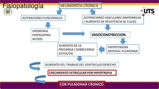 Fisiopatología NEUMOPATIA CRONICA
ALTERACIONES FUNCIONALES ALTERACIONES VASCULARES ANATOMICAS
( AUMENTO DE RESISTENCIA AL FLUJO)
HIPOXEMIA
HIPERCAPNIA
ACIDOS
VASOCONSTRICCION
AUMENTO DE LA
PRECARGA ( SOBRECARGA
SISTOLICA)
HIPERTENSION
ARTERIAL PULMONAR
AUMENTO DEL TRABAJO DEL VENTRICULO DERECHO
CRECIMIENTO VETRICULAR POR HIPERTROFIA
COR PULMONAR CRONICO
 