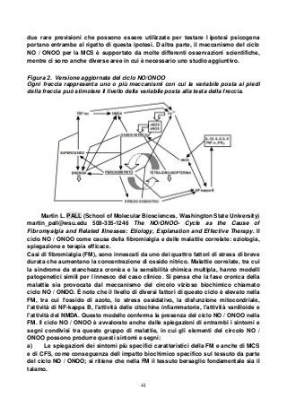 41
due rare previsioni che possono essere utilizzate per testare l ipotesi psicogena
portano entrambe al rigetto di questa ipotesi. D altra parte, il meccanismo del ciclo
NO / ONOO per la MCS è supportato da molte differenti osservazioni scientifiche,
mentre ci sono anche diverse aree in cui è necessario uno studio aggiuntivo.
Figura 2. Versione aggiornata del ciclo NO/ONOO
Ogni freccia rappresenta uno o più meccanismi con cui la variabile posta ai piedi
della freccia può stimolare il livello della variabile posta alla testa della freccia.
Martin L. PALL (School of Molecular Biosciences, Washington State University)
martin_pall@wsu.edu 509-335-1246 The NO/ONOO- Cycle as the Cause of
Fibromyalgia and Related Illnesses: Etiology, Explanation and Effective Therapy. Il
ciclo NO / ONOO come causa della fibromialgia e delle malattie correlate: eziologia,
spiegazione e terapia efficace.
Casi di fibromialgia (FM), sono innescati da uno dei quattro fattori di stress di breve
durata che aumentano la concentrazione di ossido nitrico. Malattie correlate, tra cui
la sindrome da stanchezza cronica e la sensibilità chimica multipla, hanno modelli
patogenetici simili per l innesco del caso clinico. Si pensa che la fase cronica della
malattia sia provocata dal meccanismo del circolo vizioso biochimico chiamato
ciclo NO / ONOO. È noto che il livello di diversi fattori di questo ciclo è elevato nella
FM, tra cui l'ossido di azoto, lo stress ossidativo, la disfunzione mitocondriale,
l'attività di NF-kappa B, l'attività delle citochine infiammatorie, l'attività vanilloide e
l'attività del NMDA. Questo modello conferma la presenza del ciclo NO / ONOO nella
FM. Il ciclo NO / ONOO è avvalorato anche dalle spiegazioni di entrambi i sintomi e
segni condivisi tra questo gruppo di malattie, in cui gli elementi del circolo NO /
ONOO possono produrre questi sintomi e segni:
a) Le spiegazioni dei sintomi più specifici caratteristici della FM e anche di MCS
e di CFS, come conseguenza dell impatto biochimico specifico sul tessuto da parte
del ciclo NO / ONOO; si ritiene che nella FM il tessuto bersaglio fondamentale sia il
talamo.
 