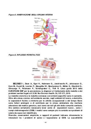 44
Figura 5. INNERVAZIONE DEGLI ORGANI INTERNI
Figura 6. RIFLESSO PERISTALTICO
BELYAEV I., Dean A., Eger H., Hubmann G., Jandrisovits R., Johansson O.,
Kern M., Kundi M., Lercher P., Mosgöller W., Moshammer H., Müller K., Oberfeld G.,
Ohnsorge P., Pelzmann P., Scheingraber C., Thill R. Linee guida 2015 della
EUROPAEM EMF per la prevenzione, la diagnosi e il trattamento delle malattie e dei
problemi sanitari legati ai C.E.M. Rev Environ Health. 30, 337-371, 2015.
Le malattie croniche e le malattie connesse con sintomi aspecifici sono in aumento.
Oltre allo stress cronico nell ambiente sociale, negli ambienti di lavoro, a domicilio,
le esposizioni fisiche e chimiche per le attività occupazionali o del tempo libero
sono fattori eziologici o di contributo per lo stress ambientale che meritano
attenzione dal medico generico, così come da tutti gli altri della comunità sanitaria.
Ora sembra certamente necessario tener conto di esposizioni nuove , come i
campi elettromagnetici (CEM). I medici sono sempre più in contatto con problemi di
salute da cause non identificate.
Ricerche, osservazioni empiriche, e rapporti di pazienti indicano chiaramente le
interazioni tra i problemi di salute e l esposizione ai CEM. La suscettibilità
 