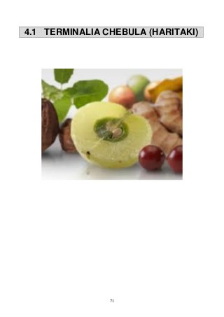 71
4.1 TERMINALIA CHEBULA (HARITAKI)
 
