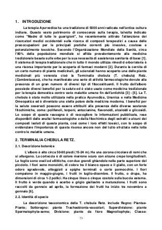 73
1. INTRODUZIONE
La terapia Ayurvedica ha una tradizione di 5000 anni radicata nell'antica cultura
indiana. Questo vasto patrimonio di conoscenze sulla terapia, talvolta indicato
come "Madre di tutte le guarigioni", ha recentemente attirato l'attenzione dei
ricercatori medici occidentali sulla ricerca di composti terapeutici a causa delle
preoccupazioni per le principali pratiche correnti più invasive, costose e
potenzialmente tossiche. Secondo l'Organizzazione Mondiale della Sanità, circa
l'80% della popolazione mondiale si affida prevalentemente alla medicina
tradizionale basata sulle erbe per la sua necessità di assistenza sanitaria di base [1].
Il sistema di terapia tradizionale che in tutto il mondo utilizza rimedi d erboristeria è
una risorsa importante per la scoperta di farmaci moderni [2]. Durante la cernita di
un certo numero di piante medicinali, gli scienziati hanno scoperto una delle piante
medicinali più venerata cioè la Terminalia chebula (T. chebula) Retz.
(Combretaceae), che ha manifestato una serie di attività farmacologiche dovute alla
presenza di un gran numero di diversi tipi di fitocostituenti. Il frutto dell'albero
possiede diversi benefici per la salute ed è stato usato come medicina tradizionale
per la terapia domestica contro varie malattie umane fin dall'antichità [3] - [5]. La T.
chebula è stata molto utilizzata nella pratica Ayurvedica, Unanica e nella Medicina
Omeopatica ed è diventato una stella polare della medicina moderna. I benefici per
la salute osservati possono essere attribuiti alla presenza delle diverse sostanze
fitochimiche, come: polifenoli, terpeni, antocianine, flavonoidi, alcaloidi e glicosidi.
Lo scopo di questa rassegna è di raccogliere le informazioni pubblicate, rese
disponibili dalle analisi farmacologiche e dalla fitochimica degli estratti e alcuni dei
composti isolati di questa pianta, così come i loro effetti tossici, con lo scopo di
evidenziare l'importanza di questa risorsa ancora non del tutto sfruttata nella lotta
contro le malattie umane.
2. TERMINALIA CHEBULA RETZ.
2.1. Descrizione botanica
L'albero è alto circa 50-80 piedi (15-24 m). Ha una corona circolare di rami che
si allargano. La corteccia è di colore marrone scuro con alcune crepe longitudinali.
Le foglie sono ovali ed ellittiche, con due grandi ghiandole nella parte superiore del
picciolo. I fiori sono monoichi, di colore tra il bianco opaco e il giallo, con un forte
odore sgradevole, atteggiati a spighe terminali o corte pannocchie. I fiori
compaiono in maggio-giugno, i frutti in luglio-dicembre. Il frutto, o drupa, ha
dimensioni di circa 1-2 pollici. Ha cinque linee o cinque costole sulla buccia esterna.
Il frutto è verde quando è acerbo e grigio giallastro a maturazione. I frutti sono
raccolti da gennaio ad aprile, la formazione dei frutti ha inizio tra novembre a
gennaio [6].
2.2. Identità di specie
La descrizione tassonomica della T. chebula Retz. include Regno: Plantae-
Piante; Sottoregno: piante Tracheobionta-vascolari; Superdivisione: piante
Spermatophyta-seme; Divisione: piante da fiore Magnoliophyta; Classe:
 