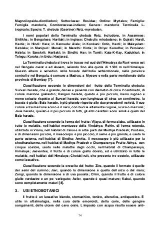 74
Magnoliopsida-dicotiledoni; Sottoclasse: Rosidae; Ordine: Myrtales; Famiglia:
Famiglia mandorla, Combretaceae-indiano; Genere: mandorle Terminalia L-
tropicale; Specie: T. chebula (Gaertner) Retz.-myrobalan.
I nomi popolari della Terminalia chebula Retz. Includono, in Assamese:
Shilikha; in Bengalese: Haritaki; in Inglese: Chebulic mirabolano; in Gujrati: Hardi,
Harde; in Hindi: Hara; in Kannada: Alale; in Konkani: Ordo, Hardi; in Malayalam:
Katukka; in Manipuri: Manali; in Marathi: Hirda; in Oriya: Karadha; in Persiano:
Halela; in Sanskrit: Haritaki; in Sindhi: Har; in Tamil: Kata-K-Kay, Kadukkai; in
Telegu: Karaka; in Urdu: Haejarad.
La Terminalia chebula si trova in tracce nel sud dell'Himalaya da Ravi verso est
nel Bengala ovest e ad Assam, salendo fino alla quota di 1.500 m nell Himalaya.
Questo albero è selvatico nelle foreste dell'India settentrionale, nelle province
centrali e nel Bengala, è comune a Madras, a Mysore e nella parte meridionale della
provincia di Bombay [7].
Classificazione secondo le dimensioni del frutto della Terminalia chebula:
Survari harade, che è grande, denso e pesante con diametro di circa 2 centimetri, di
colore marrone giallastro; Rangari harade, questo è più piccolo, meno rugoso e
meno solcato rispetto al Survari harade, con lunghezza di circa un centimetro, la
buccia è gialla; Bala harade, è più piccolo rispetto alle due precedenti varietà, il suo
colore è tra marrone scuro e il nero, con buccia altamente rugosa, scura o marrone;
Java harade, questo è il più piccolo di tutti, gli altri caratteri sono simili a quelli del
Bala harade.
Classificazione secondo la forma del frutto: Vijaya, di forma alabu, utilizzato in
tutte le malattie, nell habitat montuoso della Vindahya; Rohin, di forma rotonda,
utilizzato in Vrana, nell habitat di Zansi e in altre parti del Madhya Pradesh; Pootana,
è di dimensioni piccole, il mesocarpo è più piccolo, il seme è più grande, è usata la
parte esterna, nell habitat di Sindha; Amrita, il mesocarpo è più utilizzato per la
shodhanakarma, nell habitat di Madhya Pradesh e Champaranya; Frutto Abhya, con
cinque costole, usato nelle malattie degli occhi, nell habitat di Champaranya,
Himalaya; Jeevantee, il frutto è di colore giallo dorato, ed è utilizzato in tutte le
malattie, nell habitat dell Himalaya; Chetaki-ruit, che presenta tre costole, utilizzato
come lassativo.
Classificazione secondo la crescita del frutto: Zira, quando il formato è quello
dei semi del cumino; Javi, quando la dimensione è quella dell orzo o del mais;
Zangi, quando la dimensione è di uva passita; Chini, quando il frutto è di colore
giallo verdastro e un po variegato; Asfer, quando è quasi maturo; Kabul, quando
sono completamente maturi [8].
3. USI ETNOBOTANICI
Il frutto è un lassativo blando, stomachico, tonico, alterativa, antispastico. E
utile in oftalmologia, nella cura delle emorroidi, della carie, delle gengive
sanguinanti, delle ulcere del cavo orale. L impasto con acqua risulta essere anti-
 