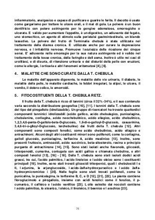 75
infiammatorio, analgesico e capace di purificare e guarire le ferite. Il decotto è usato
come gargarismo per trattare le ulcere orali, e il mal di gola. La polvere è un buon
dentifricio con potere astringente per le gengive edematose, emorragiche o
ulcerate. E valido per aumentare l'appetito, è un digestivo, un adiuvante del fegato,
uno stomachico, un agente di stimolo sulla peristalsi gastrointestinale, un blando
lassativo. La polvere del frutto di Terminalia chebula è stata utilizzata nel
trattamento della diarrea cronica. E utilizzata anche per curare la depressione
nervosa, e l irritabilità nervosa. Promuove l acutezza della ricezione dei cinque
sensi. E' adiuvante nelle emorragie per la sua natura astringente ed è valido nel
trattamento della tosse cronica, della faringite e dell asma. Inoltre è utile nei casi di
urolitiasi, e di disuria, di ritenzione urinaria e dei disturbi della pelle con eruzioni,
come le allergie, l orticaria e altri fenomeni eritematosi [4], [9].
4. MALATTIE CHE SONO CURATE DALLA T. CHEBULA
Le malattie dell'apparato digerente, le malattie delle vie urinarie, il diabete, le
malattie della pelle, le malattie cardiache, le febbri irregolari, la stipsi, le ulcere, il
vomito, il dolore colico, le emorroidi.
5. FITOCOSTITUENTI DELLA T. CHEBULA RETZ.
Il frutto della T. chebula è ricco di tannini (circa il 32% -34%), e il suo contenuto
varia secondo la distribuzione geografica [10], [11]. I tannini della T. chebula sono
del tipo del pirogallolo (idrolizzabile). Un gruppo di ricercatori ha trovato quattordici
componenti tanninici idrolizzabili (acido gallico, acido chebulagico, punicalagina,
chebulanina, corilagina, acido neochebulinico, acido ellagico, acido chebulinico,
1,2,3,4,6-penta-O-gallolo-beta-D-glucosio, 1,6-di-o-galloyl-D-glucosio, casuarinina,
3,4,6-tri-o-glloyl-D-glucosio, terchebulina) dai frutti della T. chebula [12]. Altri
componenti sono composti fenolici, come acido chebulinico, acido ellagico e
antrachinoni. Alcuni degli altri costituenti minori sono polifenoli, come la corilagina,
galloil glucosio, punicalagina, terflavina A, acido maslinico [13]. Inoltre, sono
presenti fruttosio, aminoacidi, acido succinico, beta-sitosterolo, resina e principio
purgante di antrachinone [14], [15]. Sono stati isolati anche flavonolo, glicosidi,
triterpenoidi, cumarina, coniugata con acidi gallico e chiamata chebulina, e altri
composti fenolici [13], [16] - [18]. Dalla T. chebula sono stati isolati dodici acidi
grassi, tra cui, l'acido palmitico, l acido linoleico e l acido oleico sono i costituenti
principali [19]. Inoltre, sono stati trovati glicosidi triterpenici, quali i chebulosidi I e
II, l arjunina, la arjunglucoside, l acido-2alfa-hydroxyursolico e l acido 2alfa-
hydroxymicromirico i [20]. Nelle foglie sono stati trovati polifenoli, come la
punicalina, la punicalagina, le terflavine B, C, e D [12], [21], [22]. La pianta contiene
floroglucimolo e pirogallolo, insieme con acidi fenolici come il ferulico, il p-
cumarico, il caffeico e l acido vanillico [23]. L olio estratto dai noccioli contiene
l acido palmitico, lo stearico, l oleico, il linoleico, il beenico e l arachico [23].
 
