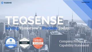 TEQSENSESolving Tomorrow's Problem Today.
Company Profile &
Capability Statement
teqsense.com
 