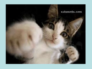  Abraza a todos los que tú conoces