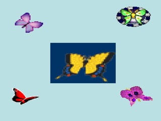  El Abrazo es la mejor señal de afecto