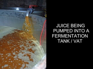 JUICE BEING PUMPED INTO A FERMENTATION  TANK / VAT  