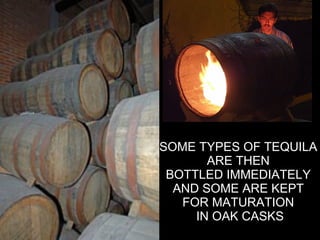 SOME TYPES OF TEQUILA  ARE THEN  BOTTLED IMMEDIATELY  AND SOME ARE KEPT  FOR MATURATION  IN OAK CASKS 