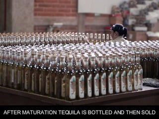 AFTER MATURATION TEQUILA IS BOTTLED AND THEN SOLD 