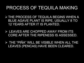 THE PROCESS OF TEQUILA BEGINS WHEN A BLUE AGAVE PLANT IS RIPE, USUALLY 8 TO 12 YEARS AFTER IT IS PLANTED. LEAVES ARE CHOPPED AWAY FROM ITS CORE AFTER THE RIPENESS IS ASSESSED. THE “PIÑA” WILL BE VISIBLE WHEN ALL THE LEAVES (PENCAS) HAVE BEEN CLEARED. PROCESS OF TEQUILA MAKING 