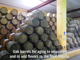 Oak barrels for aging to smoothen
and to add flavors to the final Tequila.
 