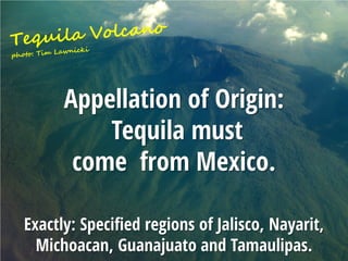 Titelmasterformat durch Klicken bearbeiten
Appellation of Origin:
Tequila must
come from Mexico.
Exactly: Specified regions of Jalisco, Nayarit,
Michoacan, Guanajuato and Tamaulipas.
 