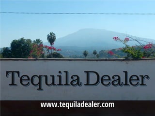 www.tequiladealer.com
 