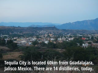 Tequila City is located 60km from Guadalajara,
Jalisco Mexico. There are 14 distilleries, today.
 