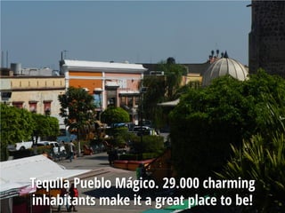 Tequila Pueblo Mágico. 29.000 charming
inhabitants make it a great place to be!
 