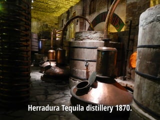 Herradura Tequila distillery 1870.
 