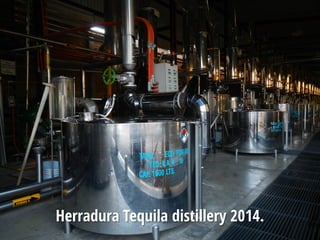 Herradura Tequila distillery 2014.
 