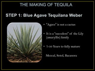 • “Agave” is not a cactus
• It is a “succulent” of the Lily
(amaryllis) family
• 7-10 Years to fully mature
Mezcal, Sotol, Bacanora
THE MAKING OF TEQUILA
 