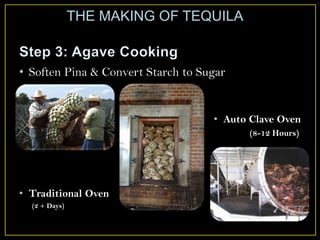 • Soften Pina & Convert Starch to Sugar
• Auto Clave Oven
(8-12 Hours)
• Traditional Oven
(2 + Days)
THE MAKING OF TEQUILA
 