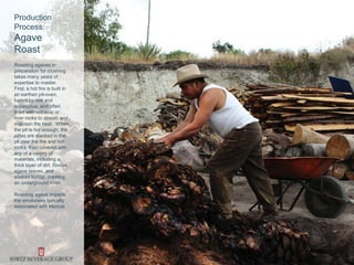 Production
Process:
Agave
Roast
Roasting agaves in
preparation for crushing
takes many years of
expertise to master.
First, a hot fire is built in
an earthen pit-oven,
fueled by oak and
eucalyptus, and often
lined with volcanic or
river rocks to absorb and
maintain the heat. When
the pit is hot enough, the
piñas are stacked in the
pit over the fire and hot
rocks, then covered with
any of a variety of
materials, including a
thick layer of dirt, fibrous
agave leaves, and
soaked burlap, creating
an underground oven.
Roasting agave imparts
the smokiness typically
associated with Mezcal.
 