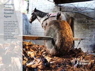 Production
Process:
Grinding
Roasted
Agave
Once roasted, the soft,
brown agaves are
chopped into smaller
pieces and placed in a
small, round pit to be
ground into fibrous
candy-like strands,
releasing the
caramelized sugars and
juices that were
condensed during the
roast.
 
