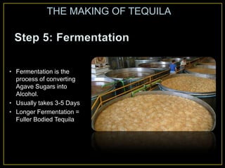 • Fermentation is the
process of converting
Agave Sugars into
Alcohol.
• Usually takes 3-5 Days
• Longer Fermentation =
Fuller Bodied Tequila
THE MAKING OF TEQUILA
 