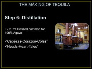 • 2 x Pot Distilled common for
100% Agave
•“Cabezas-Corazon-Colas”
•“Heads-Heart-Tales”
THE MAKING OF TEQUILA
 