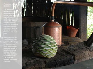 Production Process:
Distillation
The fermented
agave mash is
distilled twice in
copper stills, set atop
a wood-oven. As the
spirit evaporates and
rises in the still, it is
trapped and run
through a serpentine
pipe submerged in
cold water, causing
the spirit vapors to
condense into liquid
form.
Using centuries old
methods, and many
years of experience,
the mezcalero is able
to determine the
proof of the second
distillation simply by
blowing through a
bamboo-like tube
into a cup of mezcal
to create bubbles.
The larger the
bubbles, the higher
the proof.
 