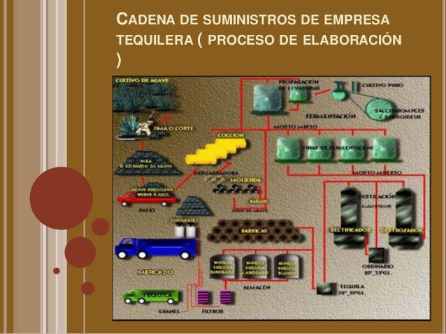 Tequilaa elaboración y proceso