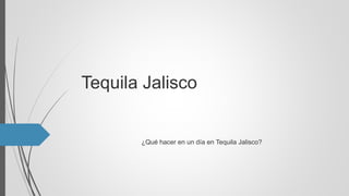 Tequila Jalisco
¿Qué hacer en un día en Tequila Jalisco?
 