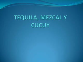 TEQUILA, MEZCAL Y CUCUY 