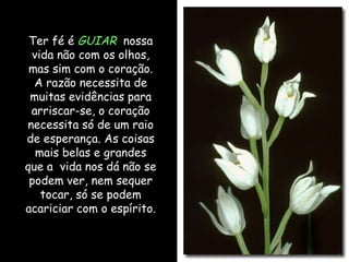 Ter fé é  GUIAR   nossa vida não com os olhos, mas sim com o coração. A razão necessita de muitas evidências para arriscar-se, o coração necessita só de um raio de esperança. As coisas mais belas e grandes que a  vida nos dá não se podem ver, nem sequer tocar, só se podem acariciar com o espírito. 