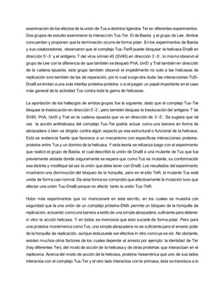 exanimación de los efectos de la unión de Tus a distintos ligandos Ter en diferentes experimentos.
Dos grupos de estudio examinaron la interacción Tus-Ter. El de Bastia y el grupo de Lee. Ambos
concuerdan y proponen que la terminación ocurre de forma polar. En los experimentos de Bastia
y sus colaboradores, observaron que el complejo Tus-TerR puede bloquear la helicasa DnaB en
dirección 5´-3´ y el antígeno T del virus simian 40 (SV40) en dirección 3´-5´, lo mismo observó el
grupo de Lee con la diferencia de que también se bloqueó PriA, UvrD y TraI también en dirección
de la cadena opuesta, este grupo también observó el impedimento no solo a las helicasas de
replicación sino también de las de reparación, por lo cual surge otra duda: las interacciones TUS-
DnaB se limitan a una sola interfaz proteína-proteína o si el juegan un papel importante en el caso
más general de la actividad Tus contra toda la gama de helicasas.
La aportación de los hallazgos de ambos grupos fue la siguiente, dado que el complejo Tus-Ter
bloquea la traslocación en dirección 5’-3´, pero también bloquea la traslocación del antígeno T de
SV40, PriA, UvrD y TraI en la cadena opuesta que va en dirección de 3´-5´. Se sugiere que tal
vez la acción antihelicasa del complejo Tus-Ter podría actuar como una barrera en forma de
abrazadera o bien va dirigido contra algún aspecto ya sea estructural o funcional de la helicasa.
Esto es evidencia fuerte que favorece a un mecanismo con especificas interacciones proteína-
proteína entre Tus y un domino de la helicasa. Y esta teoría se refuerza luego con el experimento
que realizó el grupo de Bastia, el cual describió la unión de DnaB a una mutante de Tus que fue
previamente aislada donde seguramente se espera que como Tus es mutante, su conformación
sea distinta y modifique tal vez la unión que debe tener con DnaB. Los resultados del experimento
mostraron una disminución del bloqueo de la horquilla, pero en el sitio TeR, la mutante Tus está
unida de forma casi normal. De esta forma se comprobó que efectivamente la mutación tuvo que
afectar una unión Tus-DnaB porque no afectó tanto la unión Tus-TeR.
Hubo más experimentos que no mencionaré en este escrito, en los cuales se muestra con
seguridad que la una unión de un complejo proteína-DNA permite un bloqueo de la horiquilla de
replicación, actuando comouna barrera a estilo de una simple abrazadera, suficiente para detener
in vitro la acción helicasa. Y en todos se menciona que esto sucede de forma polar. Pero para
una proteína monémerica comoTus, una simple abrazadera no es suficiente para el arresto polar
de la horquilla de replicación, aunque ésta puede ser efectiva in vitro comoya se vió. No obstante,
existen muchos otros factores de los cuales depende el arresto por ejemplo: la identidad de Ter
(hay diferentes Ter), del modo de acción de la helicasa y de otras proteínas que interactúan en el
replisoma. Acerca del modo de acción de la helicasa, proteína hexamérica que uno de sus lados
interactúa con el complejo Tus-Ter y el otro lado interactúa con la primasa, ésta se transloca a lo
 