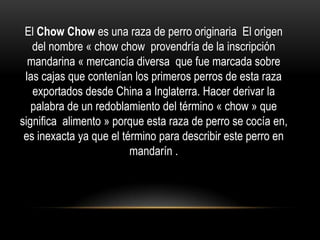 El Chow Chow es una raza de perro originaria El origen
del nombre « chow chow provendría de la inscripción
mandarina « mercancía diversa que fue marcada sobre
las cajas que contenían los primeros perros de esta raza
exportados desde China a Inglaterra. Hacer derivar la
palabra de un redoblamiento del término « chow » que
significa alimento » porque esta raza de perro se cocía en,
es inexacta ya que el término para describir este perro en
mandarín .

 