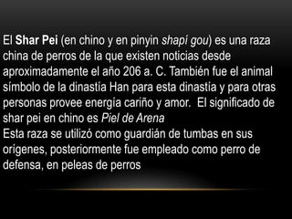 El Shar Pei (en chino y en pinyin shapí gou) es una raza
china de perros de la que existen noticias desde
aproximadamente el año 206 a. C. También fue el animal
símbolo de la dinastía Han para esta dinastía y para otras
personas provee energía cariño y amor. El significado de
shar pei en chino es Piel de Arena
Esta raza se utilizó como guardián de tumbas en sus
orígenes, posteriormente fue empleado como perro de
defensa, en peleas de perros

 