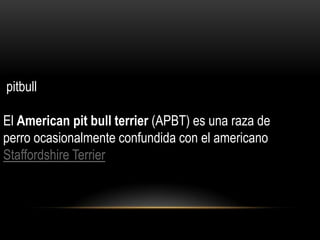 pitbull
El American pit bull terrier (APBT) es una raza de
perro ocasionalmente confundida con el americano
Staffordshire Terrier

 
